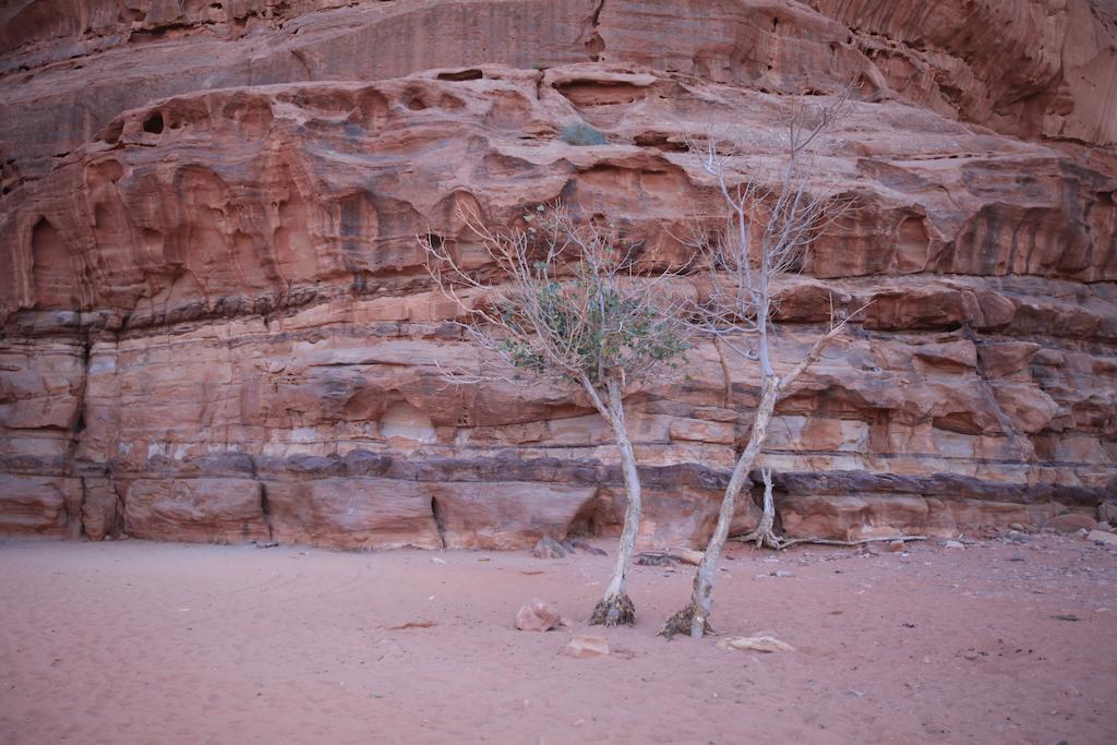 Hotel Bedouin Expedition à Wadi Rum Extérieur photo