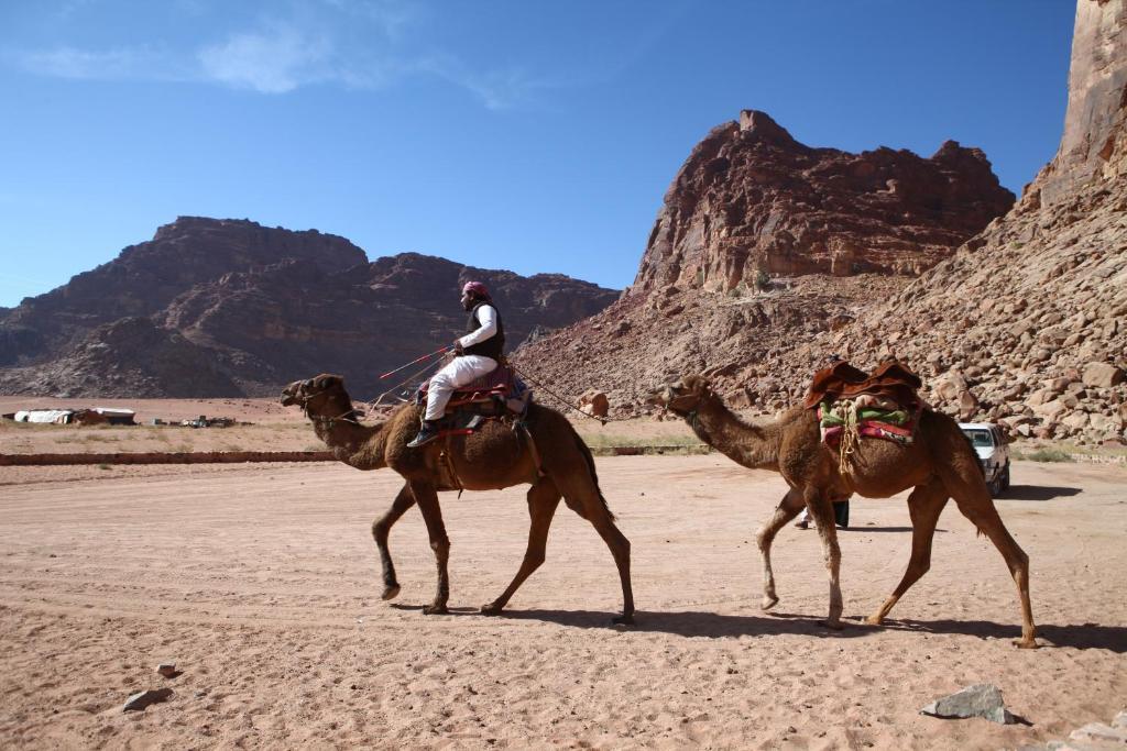 Hotel Bedouin Expedition à Wadi Rum Extérieur photo