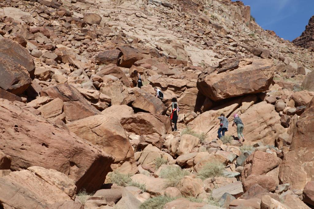 Bedouin Expedition Wadi Rum Extérieur photo