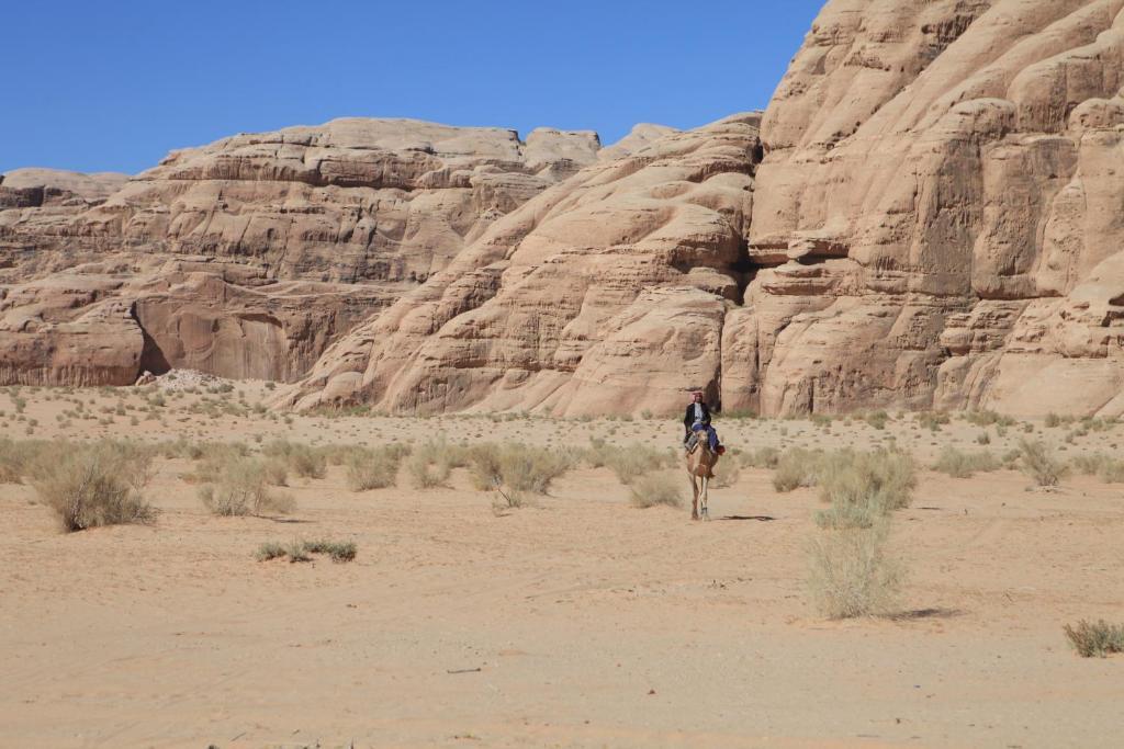 Hotel Bedouin Expedition à Wadi Rum Extérieur photo