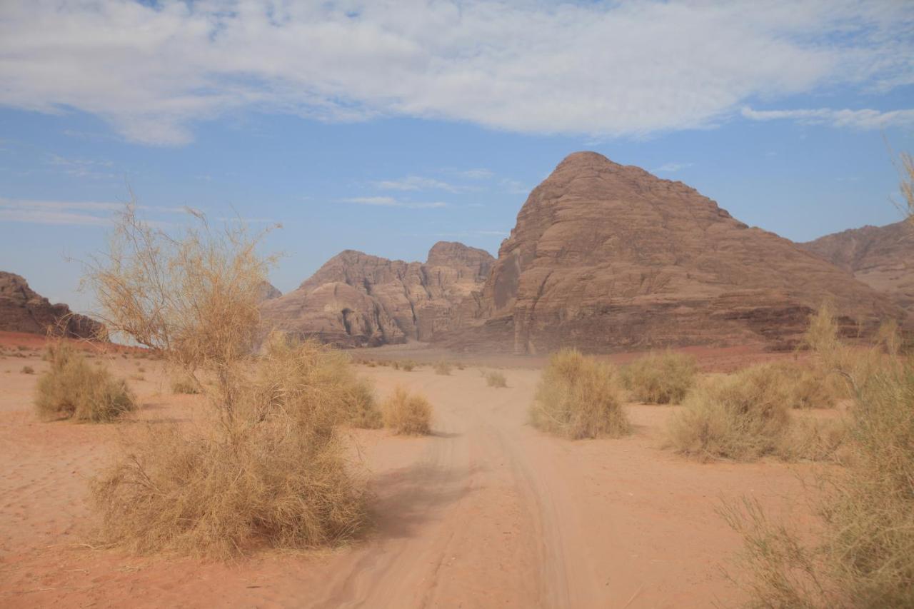 Hotel Bedouin Expedition à Wadi Rum Extérieur photo