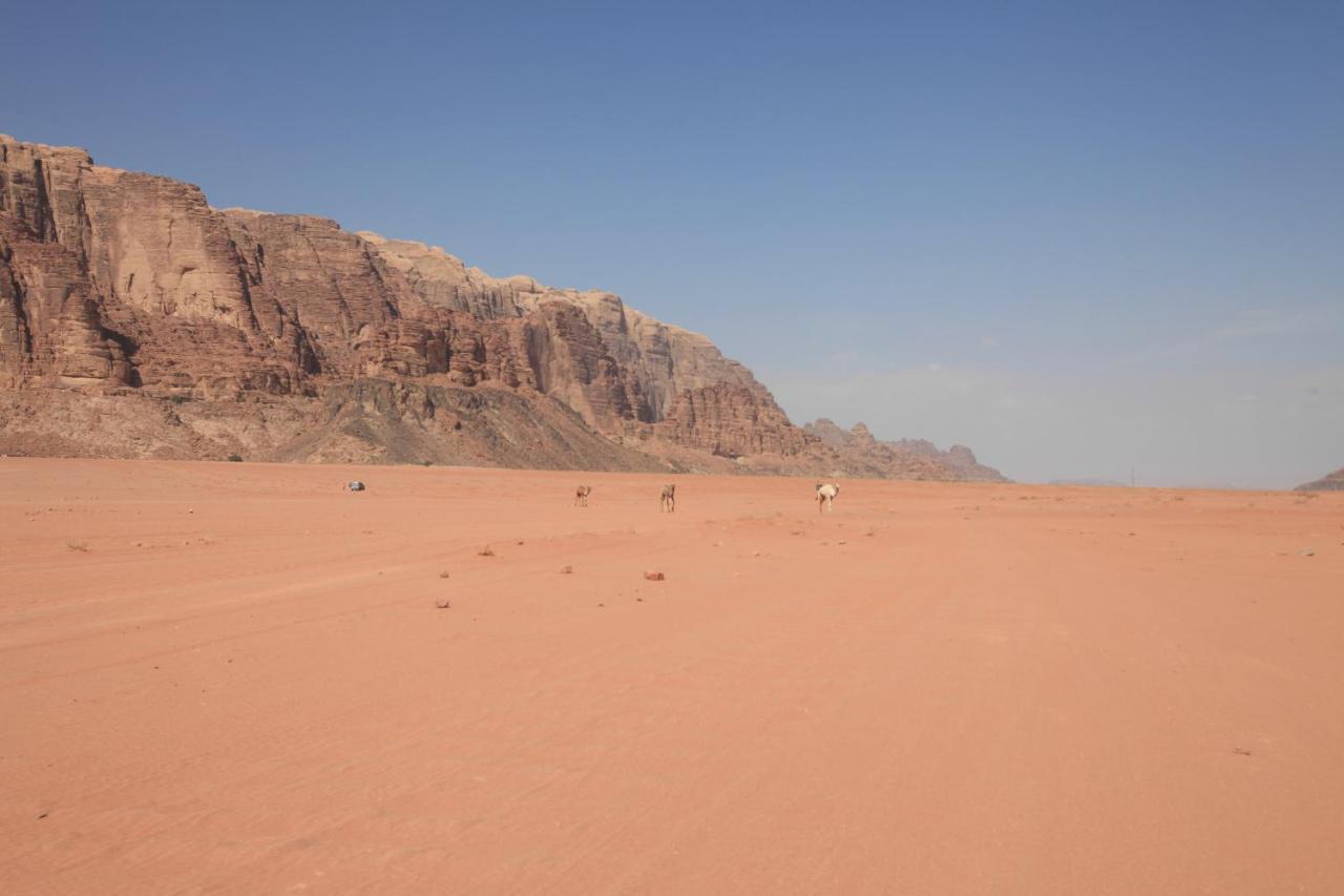 Hotel Bedouin Expedition à Wadi Rum Extérieur photo